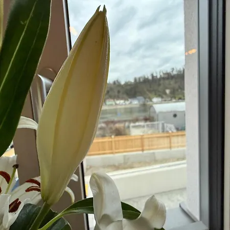 Apartment Donau-vibes